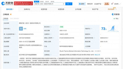 螞蟻數科布局華中，武漢新設信息技術公司聚焦網絡安全軟件開發
